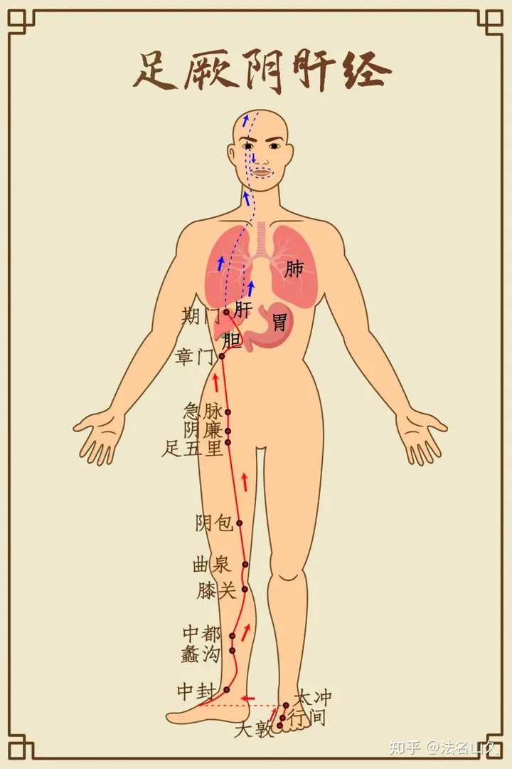 【道医养生】结节疙瘩最爱堵三个部位，一个妙方把瘀堵全打开！