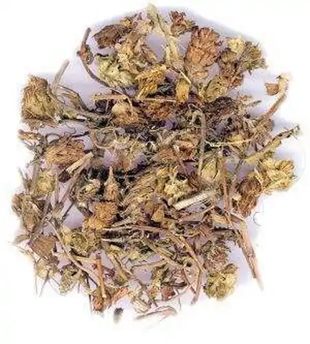 夏枯草的作用与功效及忌讳是啥