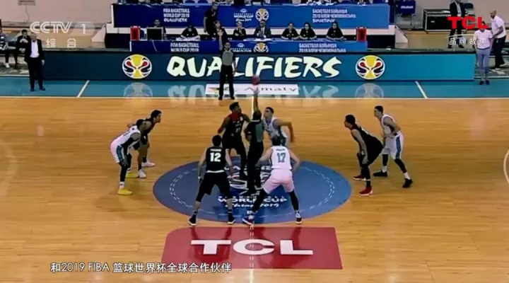 TCL：全球化路上的领航者