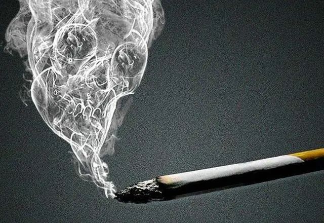 ​提醒：甘油三酯恢复到正常值，3物是降脂能手，没事多吃一吃