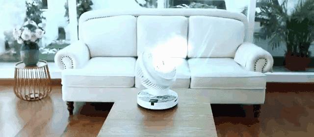 “空气循环扇”到底是不是智商税？