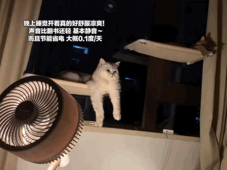 空气循环扇真的比普通风扇更好用吗？一起来听听，过来人怎么说
