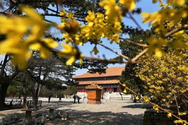 不再让文物躺在库房睡大觉！明十三陵将办多场展出推动文物活化利用-明十三陵考古发掘