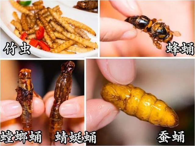 浙江一水库大坝挖出存活十几年的蚁后，网友：看了只想油炸着吃（大水蚁窝）
