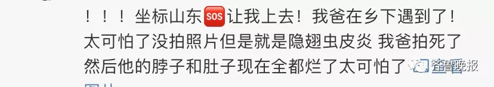 只因一条小虫，女子差点毁容！看完后怕…（一条虫打一成语是什么成语）