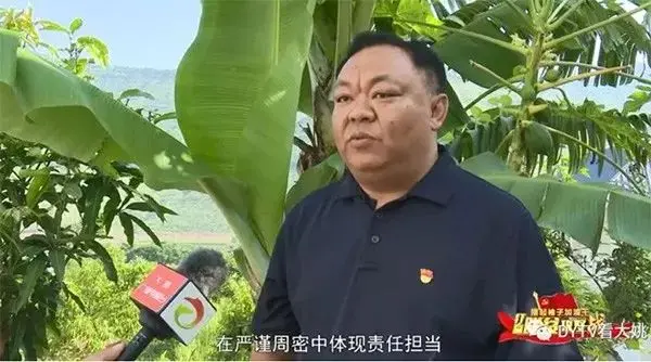 80后白头干部刷屏！脱发的年轻人得当心了……（80后白头发基层干部）