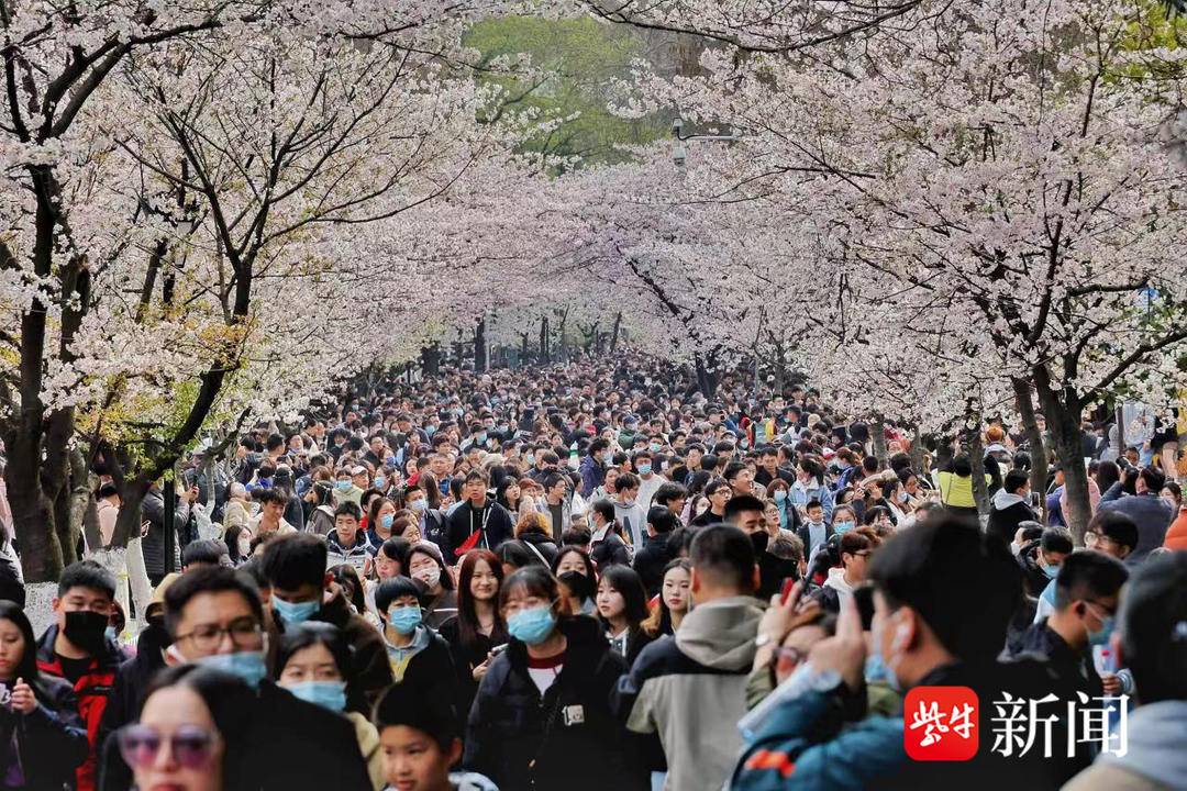 3分钟！我在鸡鸣寺“捡”了40元钱（鸡鸣寺里的东西能买吗）