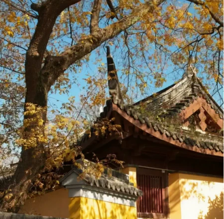 鸡鸣寺游客爆满设反悔门，网友：我佛果然慈悲，还给反悔的机会（鸡鸣寺官方回应）
