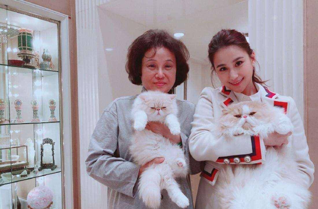 身家400亿，与吴克群相恋4年的何超莲，为什么转身嫁给了窦骁？-窦骁个人资产多少亿