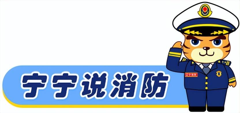 火海中，妈妈将两个孩子扔下楼，自己却不幸身亡（母亲火海救出五个儿女的小说）