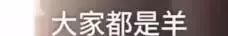 好大的口气！雪乡黑导游：就是要弄死你！国家旅游局：依法严处-雪乡导游打人最新