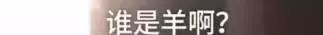 雪乡又双叒出事了！导游口出狂言：“我就是要弄死你”-雪乡太坑了