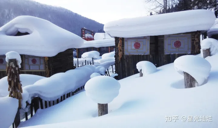 近期去哈尔滨雪乡旅游必看攻略（行程+费用）-哈尔滨雪乡旅游攻略分享