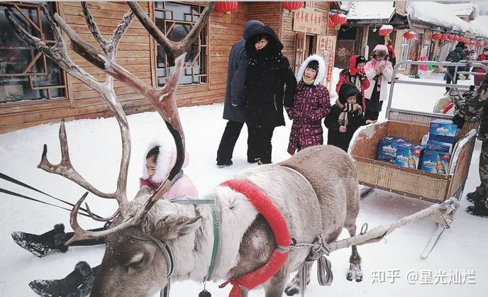 近期去哈尔滨雪乡旅游必看攻略（行程+费用）-哈尔滨雪乡旅游攻略分享