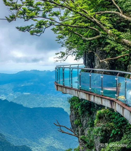张家界旅游最全三日游行程安排攻略，适合自驾游/自由行/自助游-张家界 三日游 费用