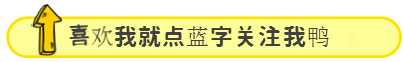 高端盆栽旺财又镇宅，常养名贵树种盆栽盆景，有品位还养人-高档盆栽品种
