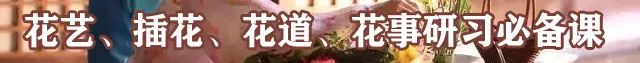 十大盆景名贵树种有哪些？盘点十大盆景名贵树种-名贵的盆景植物