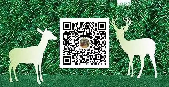 十大盆景名贵树种有哪些？盘点十大盆景名贵树种-名贵的盆景植物