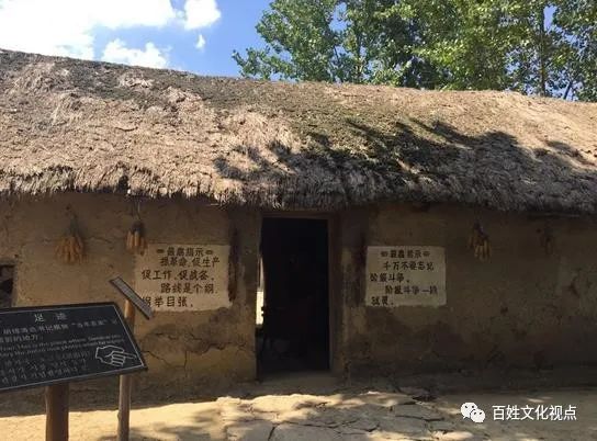 1980年代那些臭虫、虱子、跳蚤们-80后小时候的