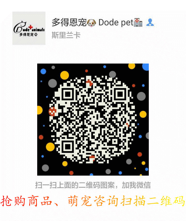 不同毛色的犬猫如何快速辨别是否有寄生虫-怎么看猫的毛质