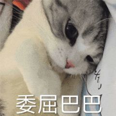 女孩觉得耳朵里有东西爬，医生一查惊到了！里面竟有…-耳朵感觉有东西在爬的声音