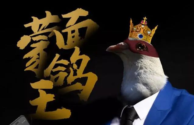 不能被忽视的提高记忆力，DHA是真有用（dha真的可以促进孩子增强记忆力吗）