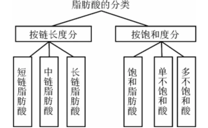 不能被忽视的提高记忆力，DHA是真有用（dha真的可以促进孩子增强记忆力吗）
