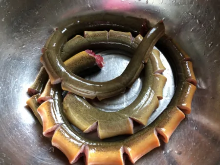 体质虚弱就多点吃“它”贵也不要省，出虚汗的更要常吃，鲜美养人（身体虚弱吃）
