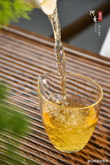 阿曼普洱茶：你对普洱茶了解多少？（干货来咯！）-阿曼百科