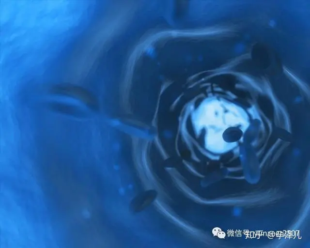 你对身体内的水知多少（人身体的水分含量）
