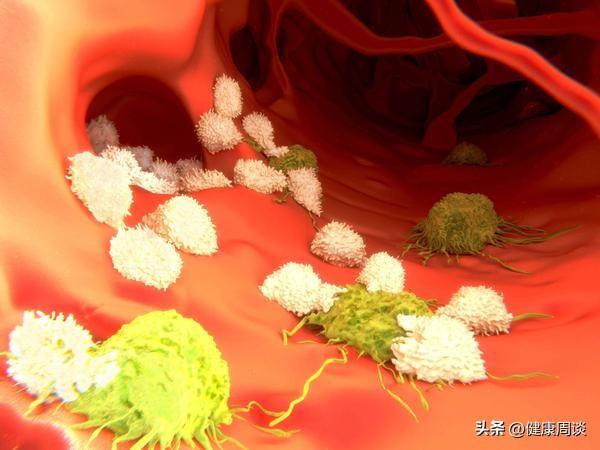 玉米须泡水喝真的能养生？中医：身体有这些问题的人，不妨试试！-玉米须泡水喝的用处