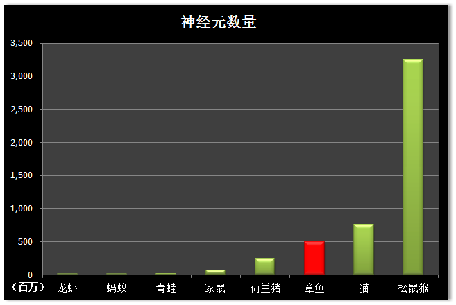 章鱼的智商到底有多高？为什么有人说它们的智商可以统治世界？（章鱼智商相当于人类几岁）