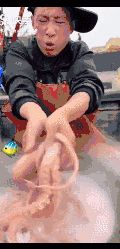 鱿鱼、章鱼、墨鱼、八爪鱼、乌贼傻傻分不清楚？一文教你记住它们（鱿鱼,墨鱼,八爪鱼,章鱼,乌贼的区别）