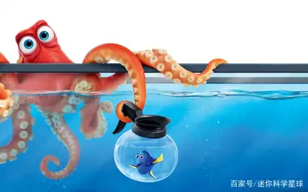 章鱼虽长相丑陋，却天赋异禀！拥有3颗心脏、9个脑袋外加蓝色血液（章鱼真的有三个心脏和9个大脑吗?）