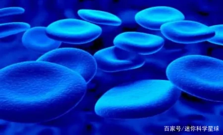 章鱼虽长相丑陋，却天赋异禀！拥有3颗心脏、9个脑袋外加蓝色血液（章鱼真的有三个心脏和9个大脑吗?）