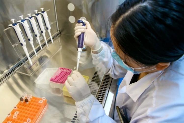 服务细胞和基因治疗产业，这家第三方检测平台推出200个检测项目-第三方基因检测的费用是多少钱啊