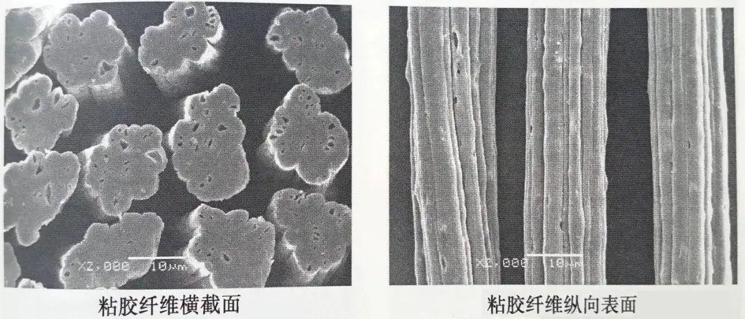 人造棉到底是什么“棉”？与纯棉有何不同？（人造棉又叫什么名字）
