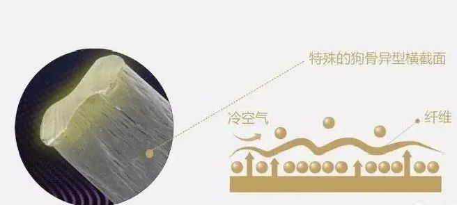 腈纶纤维—德绒（德绒是不是腈纶）