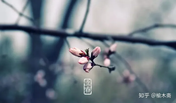 古代传统习俗“八节”浅谈-八大传统节日风俗