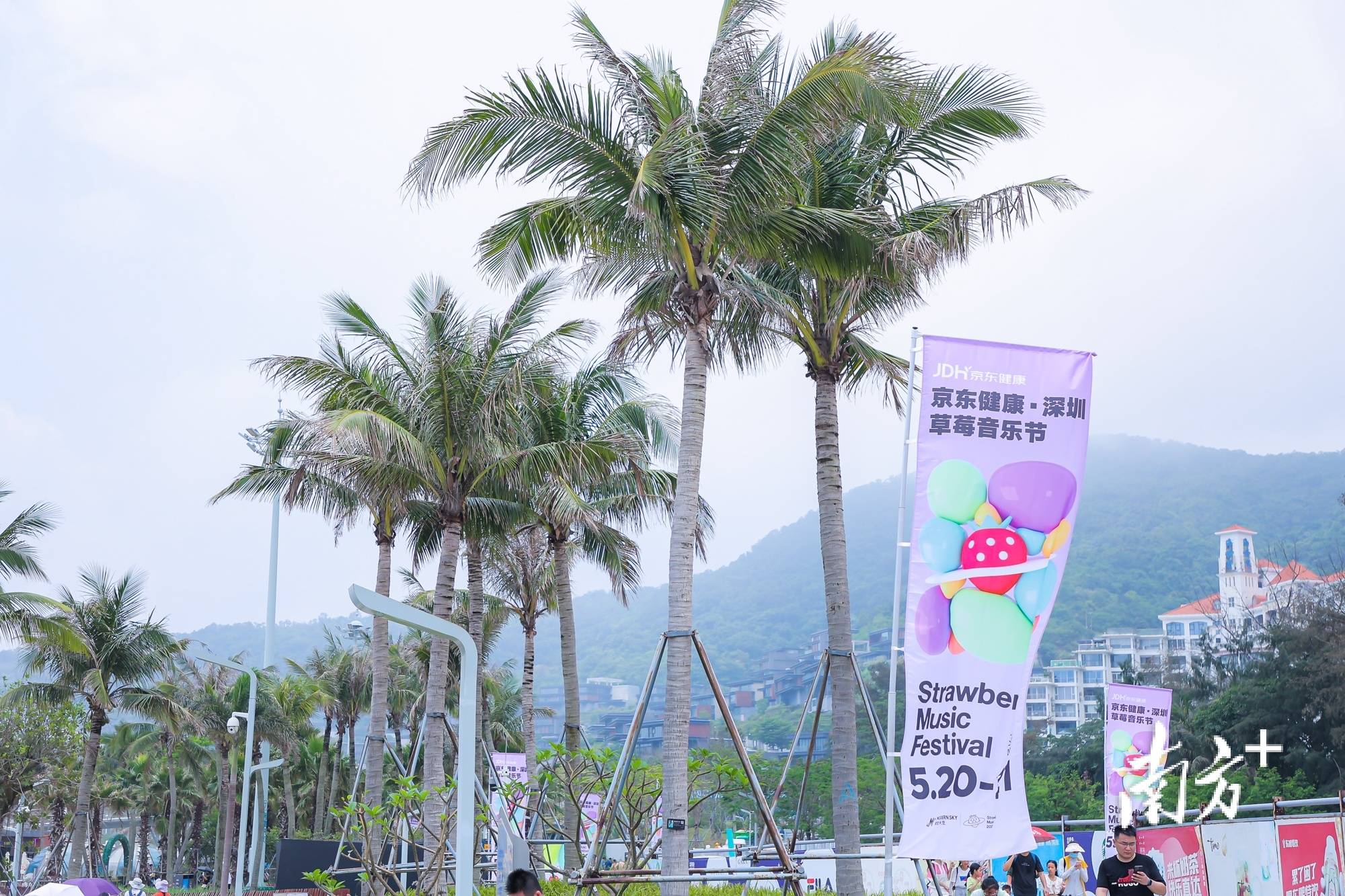 南方观察｜盐田，何以应“节”不暇？-盐田是什么意思