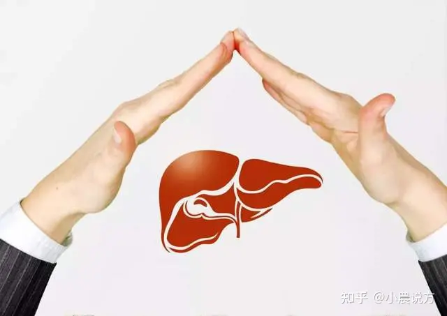 养肝护肝吃什么最好，这篇告诉您（养肝护肝吃什么食物最好窍门）