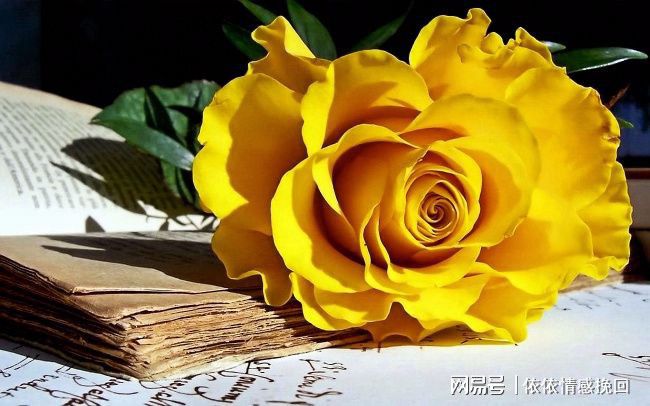 男生应该如何挽回自己的妻子，挽回自己的老婆-男人如何挽回情人的话