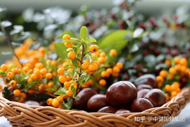 大国品牌|拼免疫力的时代到了，你还不知道阿尔靳山沙棘原浆吗？-俄罗斯沙棘油的功效与作用及食用方法