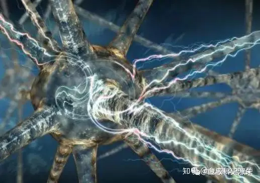 贫血易发的十大症状！不知道的还不赶紧看看！-贫血容易出现什么症状女性