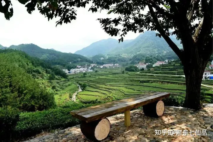中国茶叶100强榜单出炉，看看什么茶排第一（中国茶叶前十）