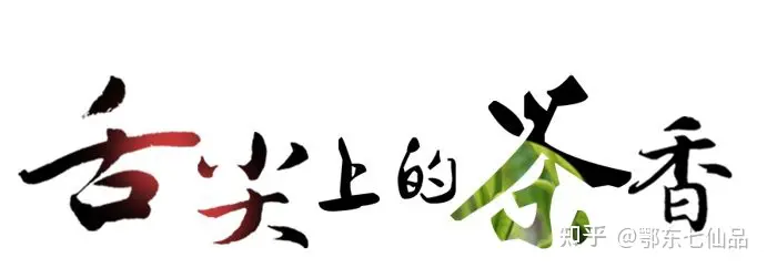 中国茶叶100强榜单出炉，看看什么茶排第一（中国茶叶前十）