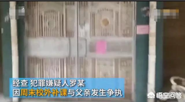 补课再酿惨剧：湖南洞口高一女生尖刀刺向父亲-湖南洞口高中怎么收费的