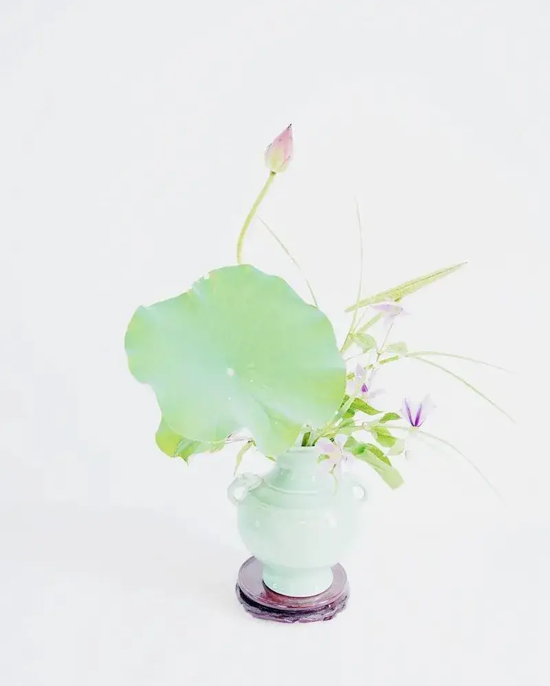 荷花插花美图第二波来袭，你最心仪哪一款？（荷花瓶插怎么养）