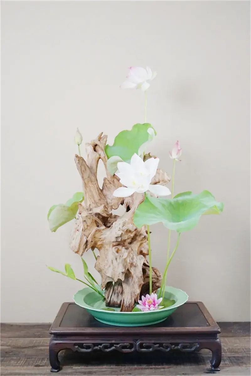 荷花插花美图第二波来袭，你最心仪哪一款？（荷花瓶插怎么养）