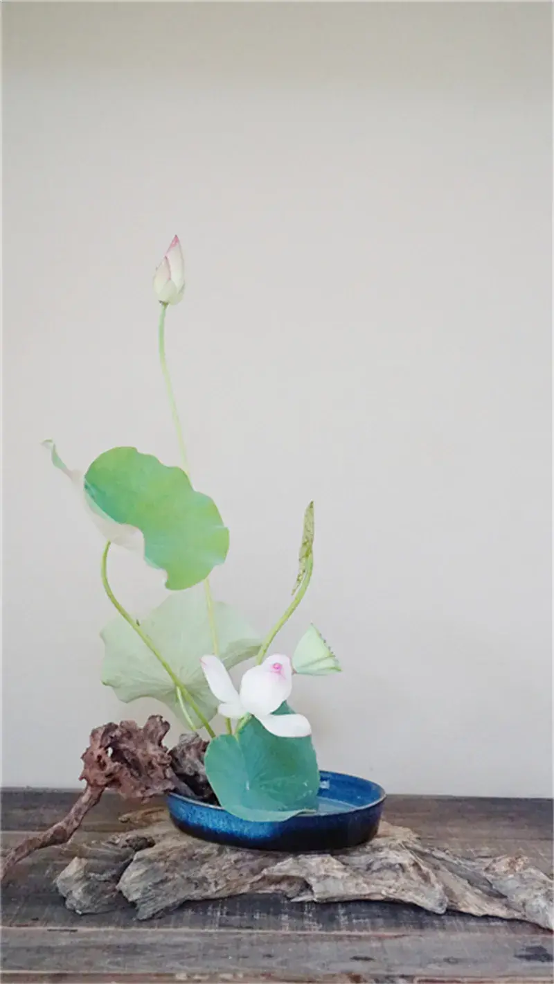 荷花插花美图第二波来袭，你最心仪哪一款？（荷花瓶插怎么养）